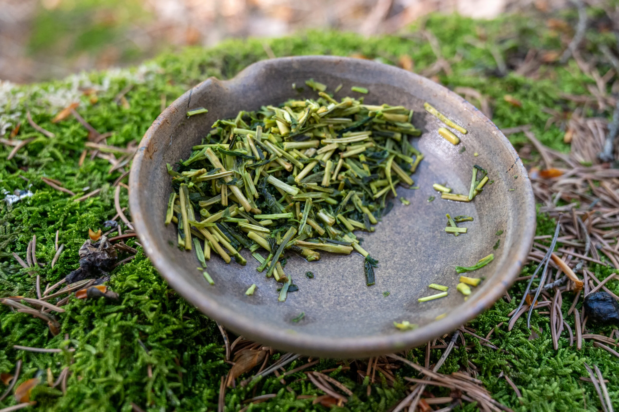 Sencha Karigane Kyoto - harmonie umami z oblasti Uji - Obrázek 7