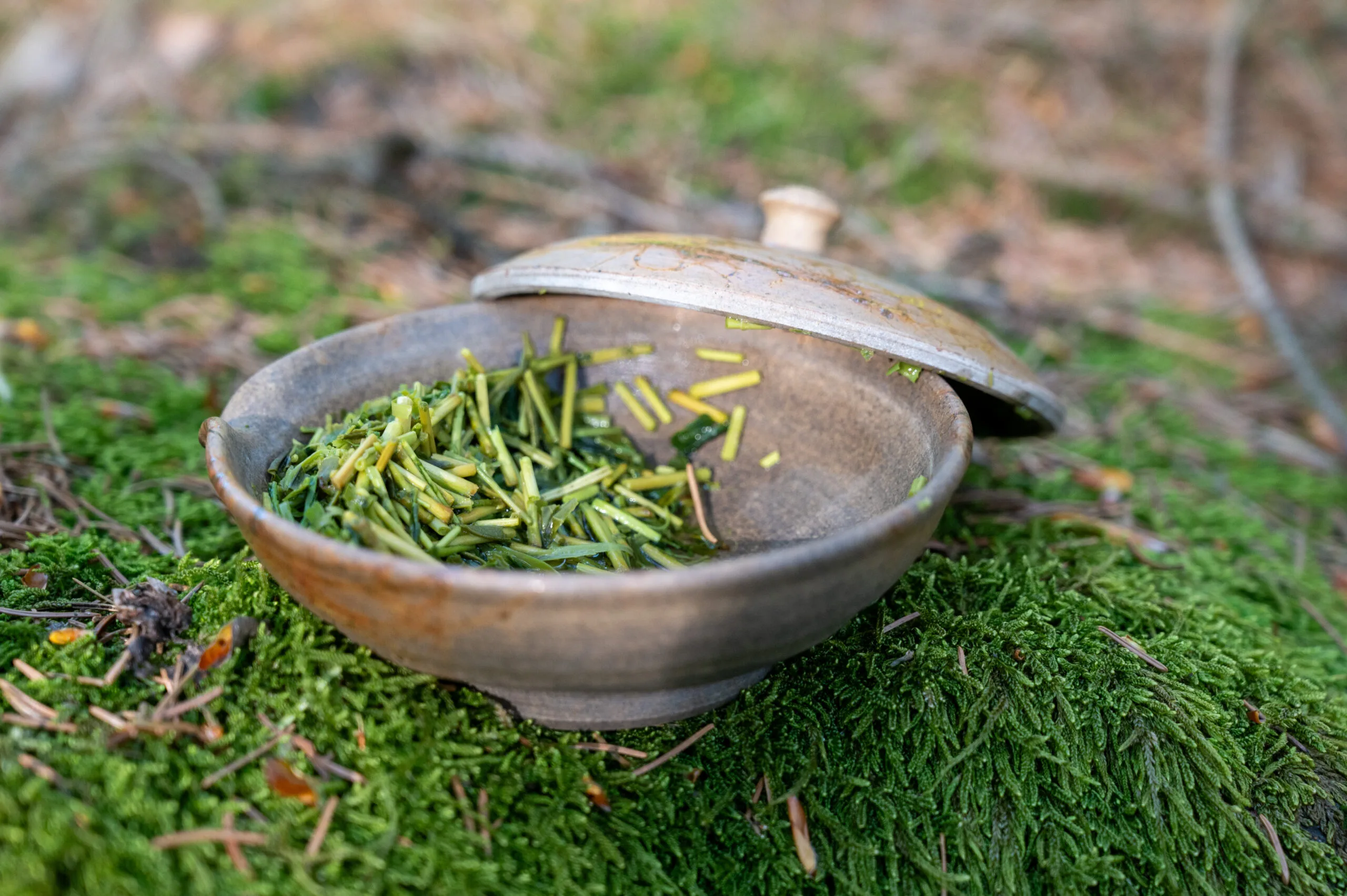 Sencha Karigane Kyoto - harmonie umami z oblasti Uji - Obrázek 8