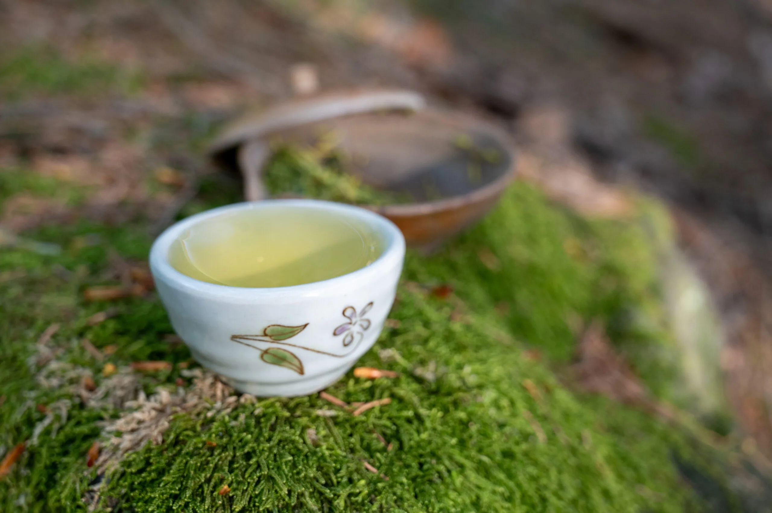Sencha Karigane Kyoto - harmonie umami z oblasti Uji - Obrázek 4