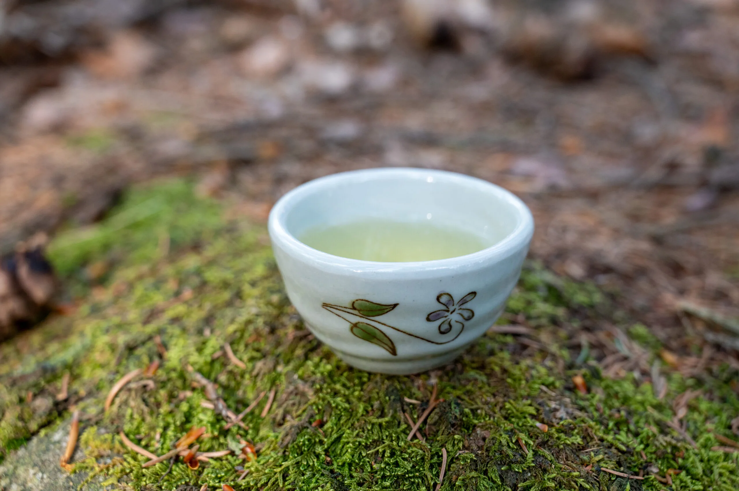 Sencha Karigane Kyoto - harmonie umami z oblasti Uji - Obrázek 6