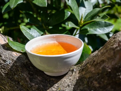 Koushun Uroncha Ichibancha - oolong první sklizně z Kyushu