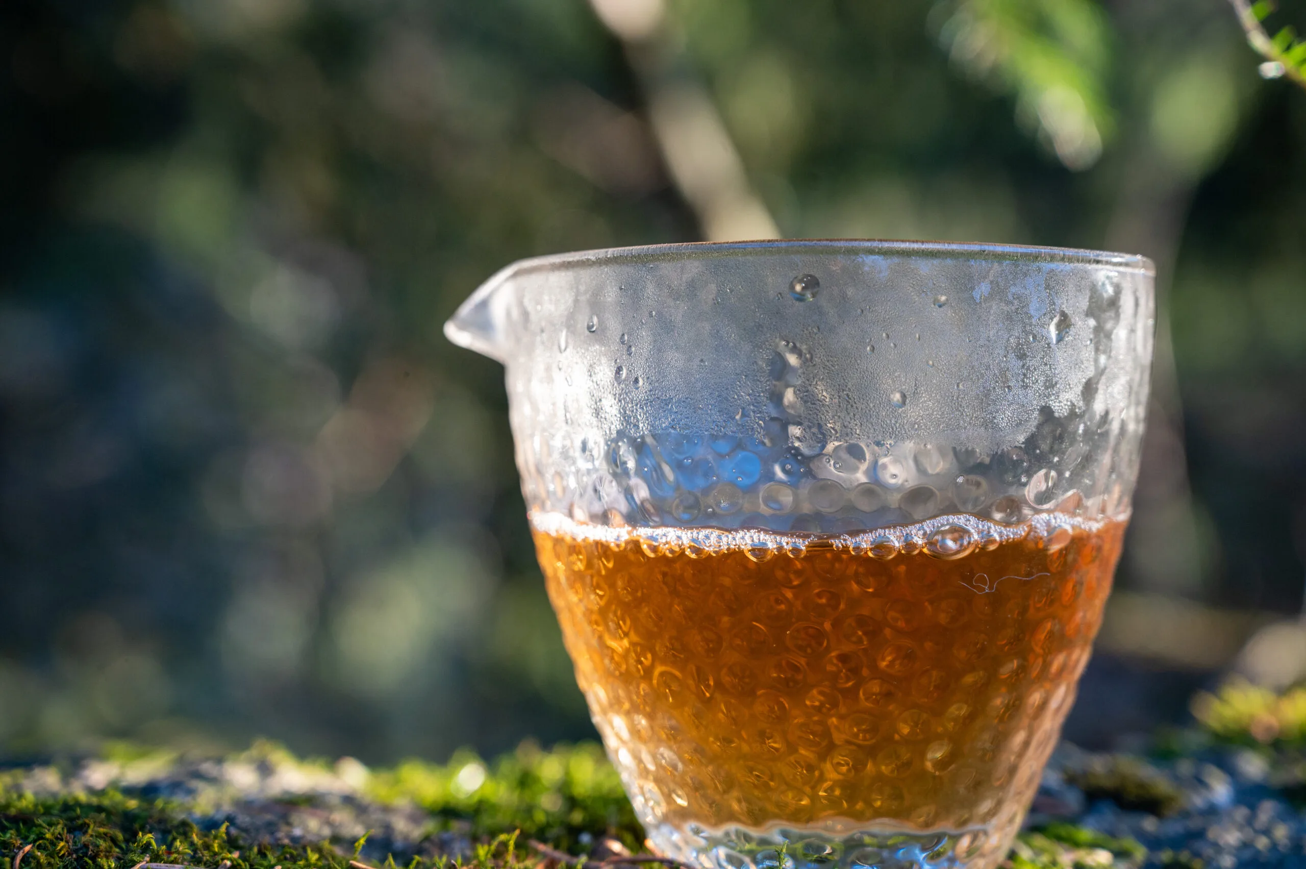 Da Hong Pao - Šarlatové roucho z Wuyi - Obrázek 8