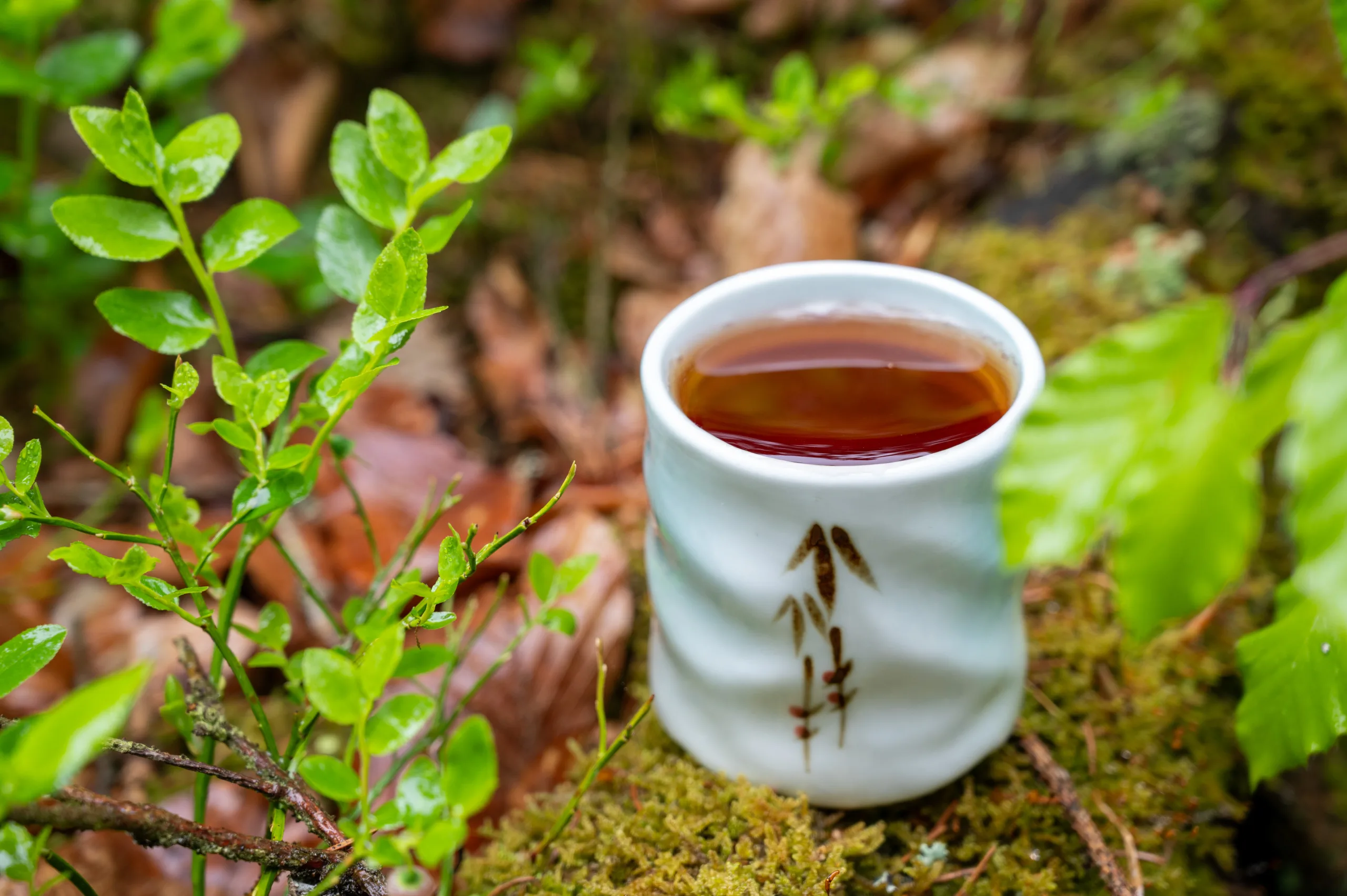 Broskvový oolong Jin Xuan - pečená hloubka Taiwanu - Obrázek 3