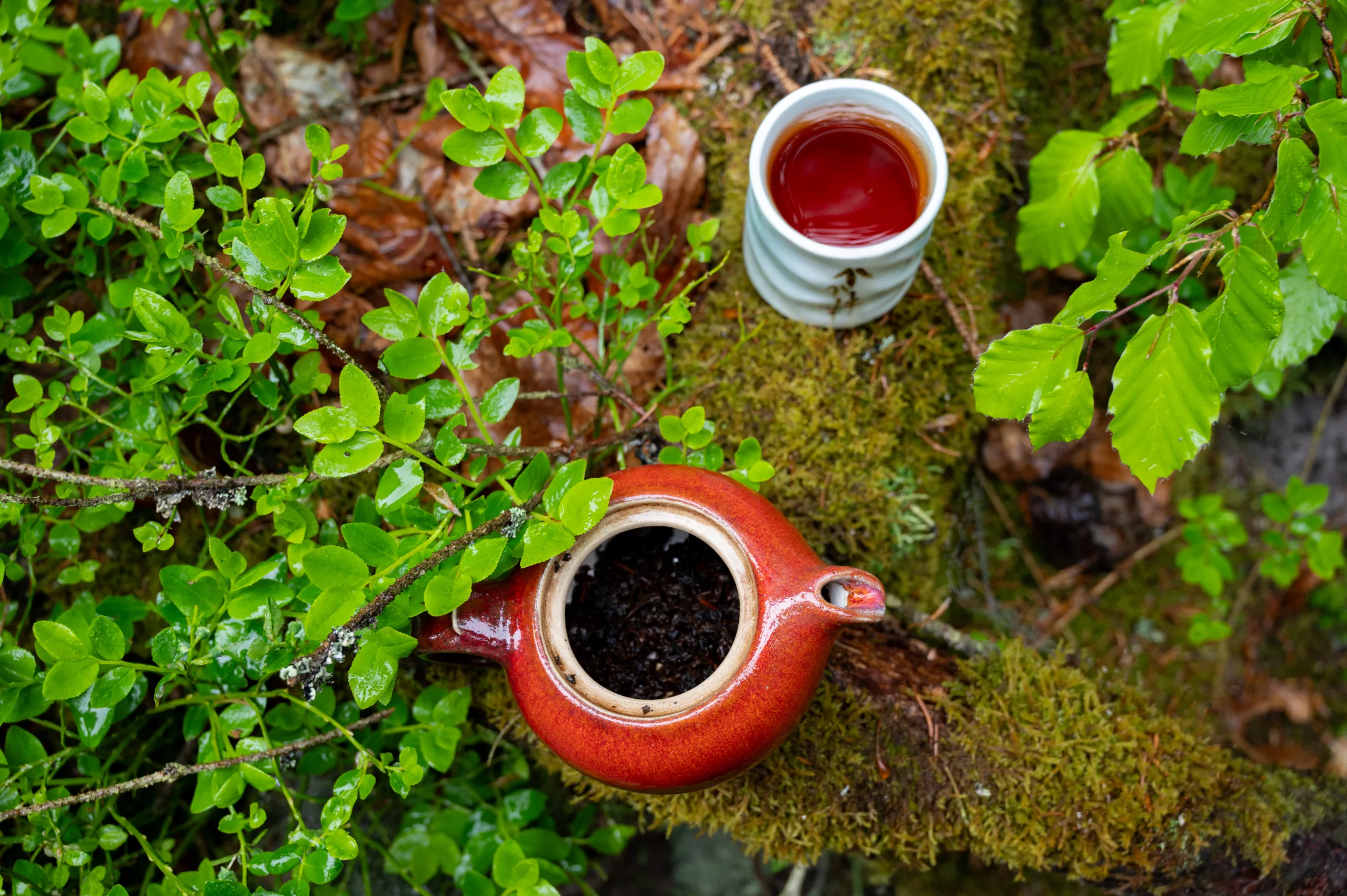 Broskvový oolong Jin Xuan - pečená hloubka Taiwanu - Obrázek 2
