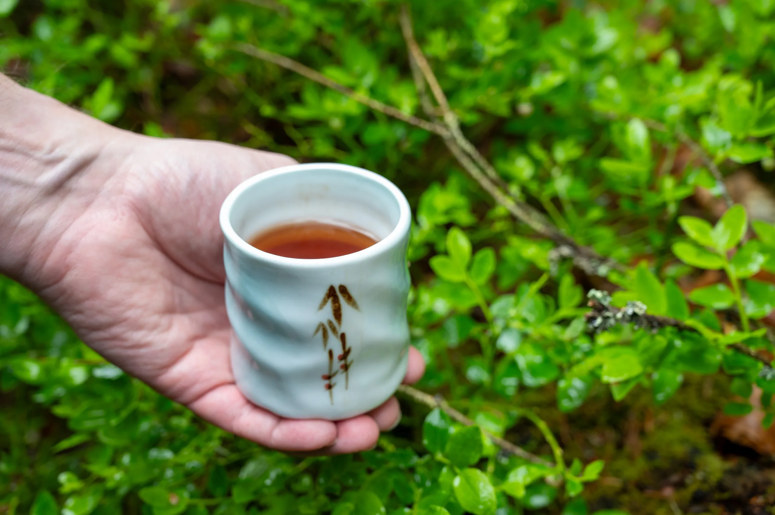 Broskvový oolong Jin Xuan - pečená hloubka Taiwanu - Obrázek 5