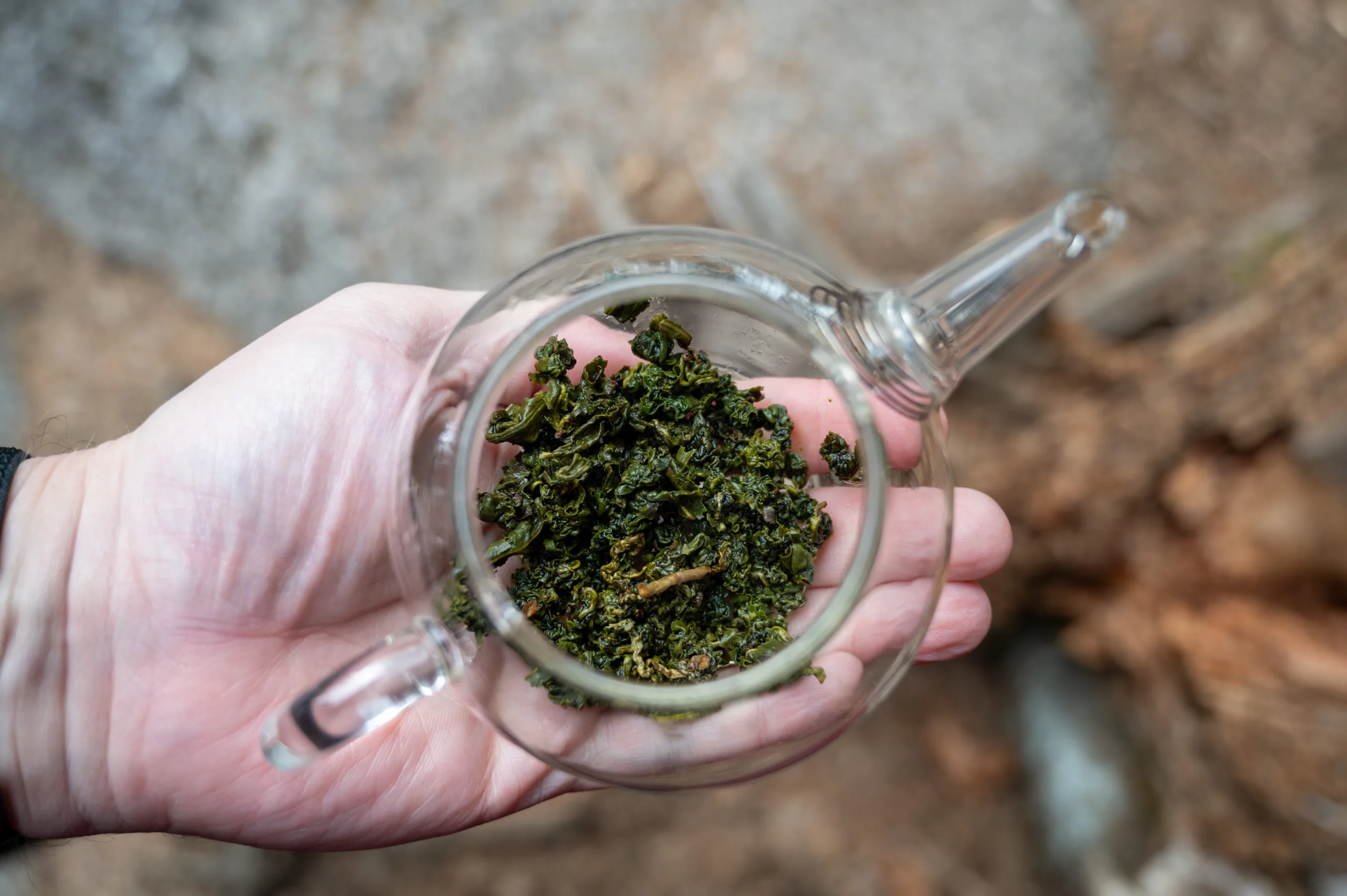 Four Seasons Oolong - jemný oolong z Fujianu - Obrázek 4