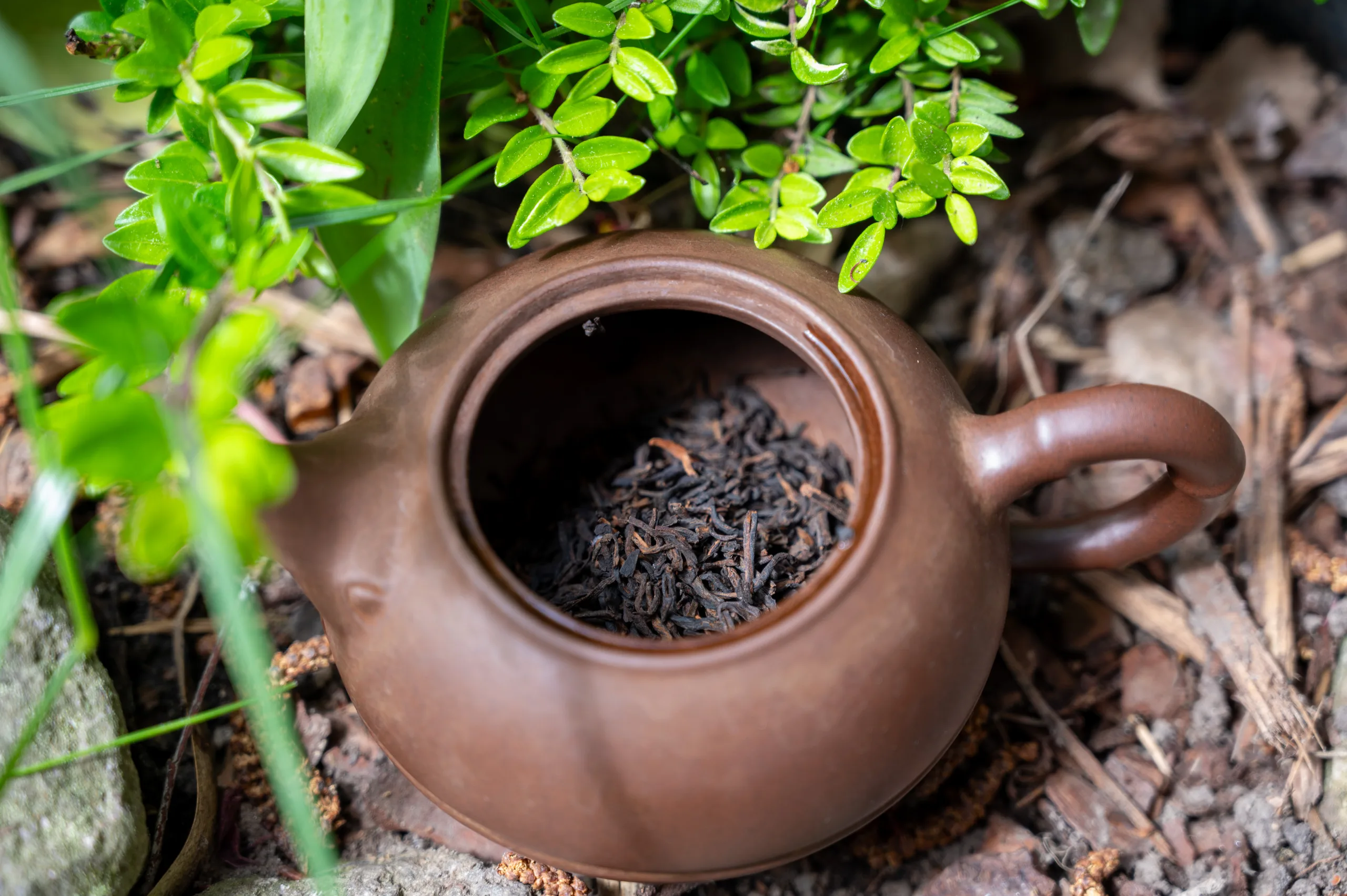 Pu Erh 2011 - tmavý čaj Hei Cha - Obrázek 3