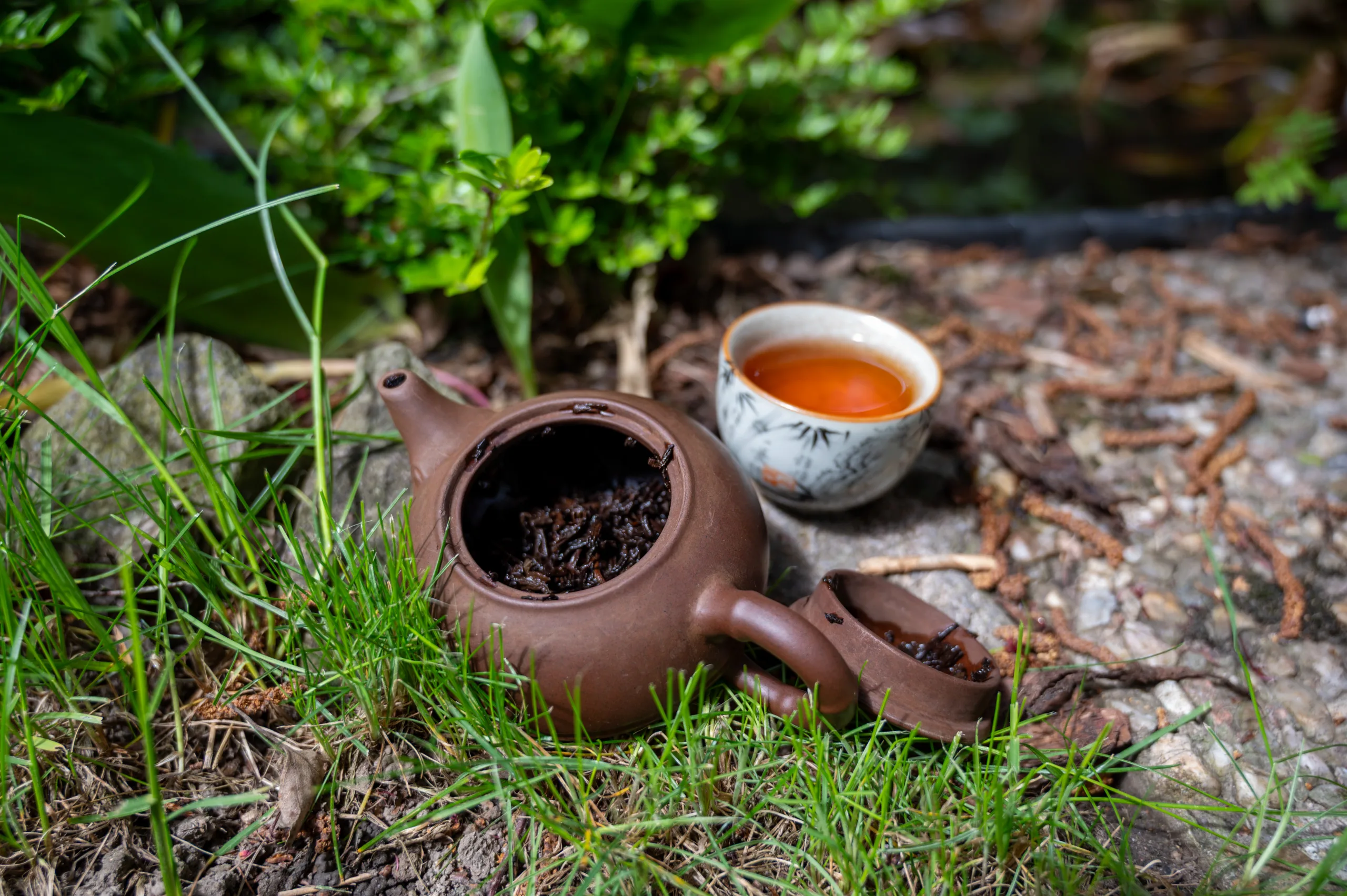 Pu Erh 2011 - tmavý čaj Hei Cha - Obrázek 7