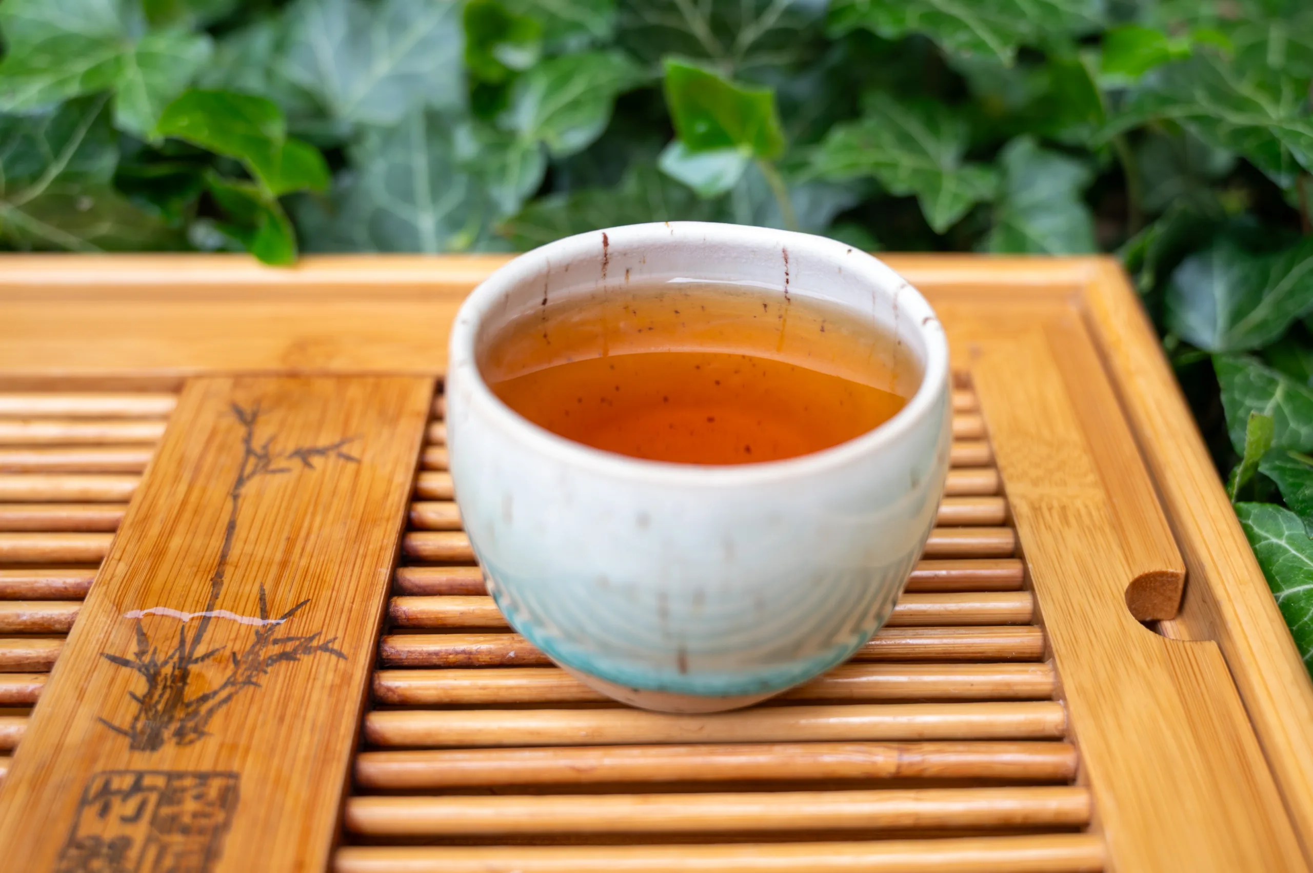 Sayamakaori Uroncha Ichibancha - oolong z první sklizně z Kyushu - Obrázek 4