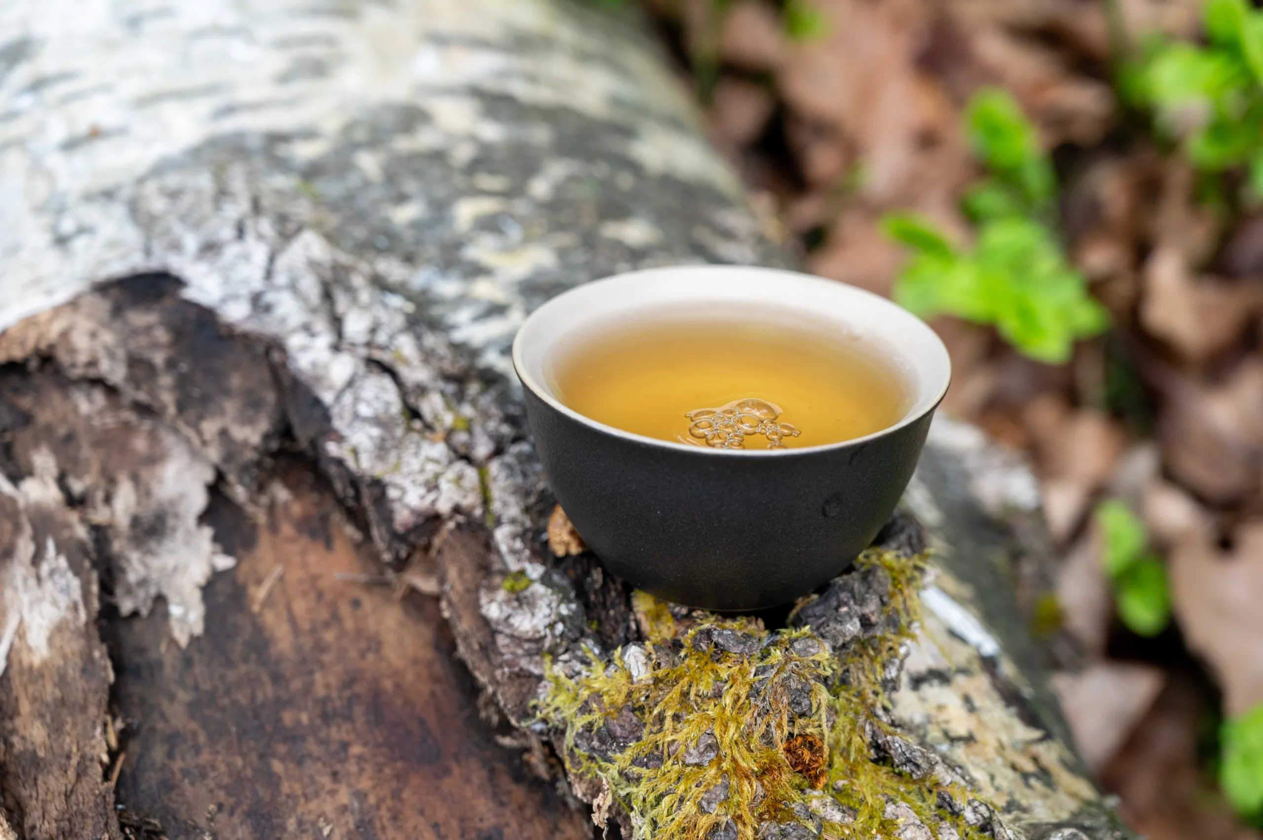 Oriental Beauty - medový oolong z Guangxi - Obrázek 2