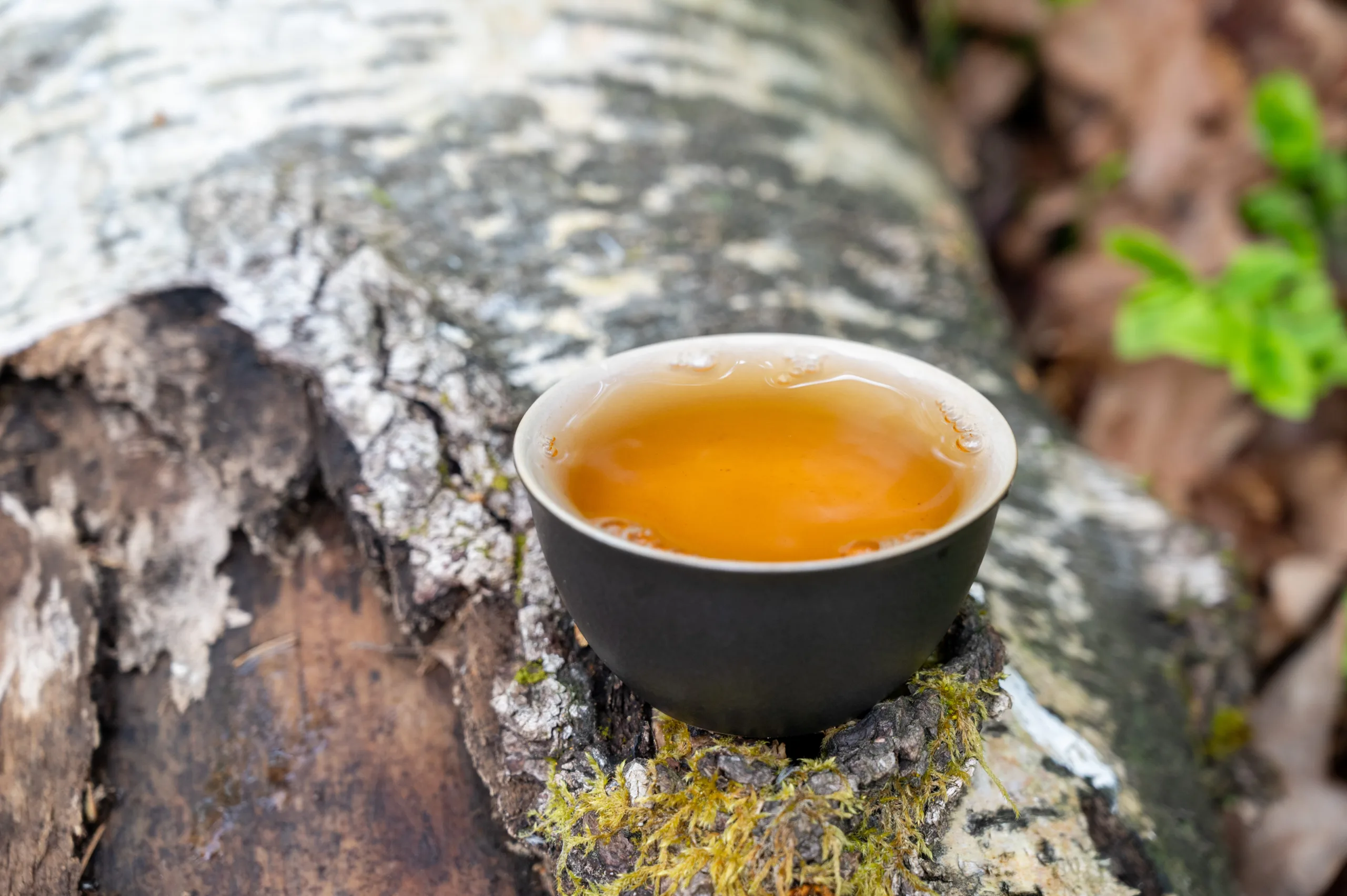 Oriental Beauty - medový oolong z Guangxi - Obrázek 4