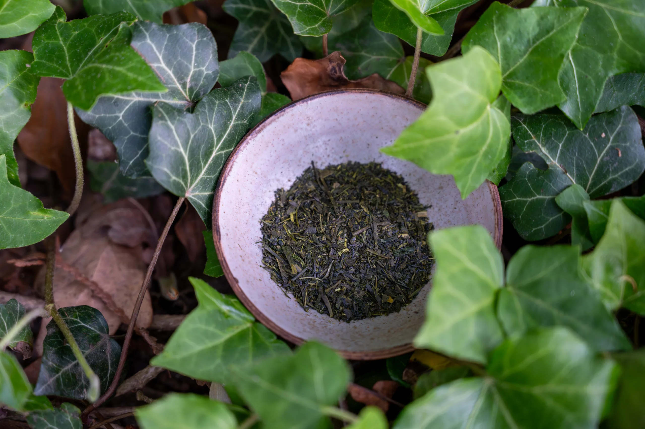 Sencha Fukamushi 50g - výrazné umami ze Shizuoky - Obrázek 5