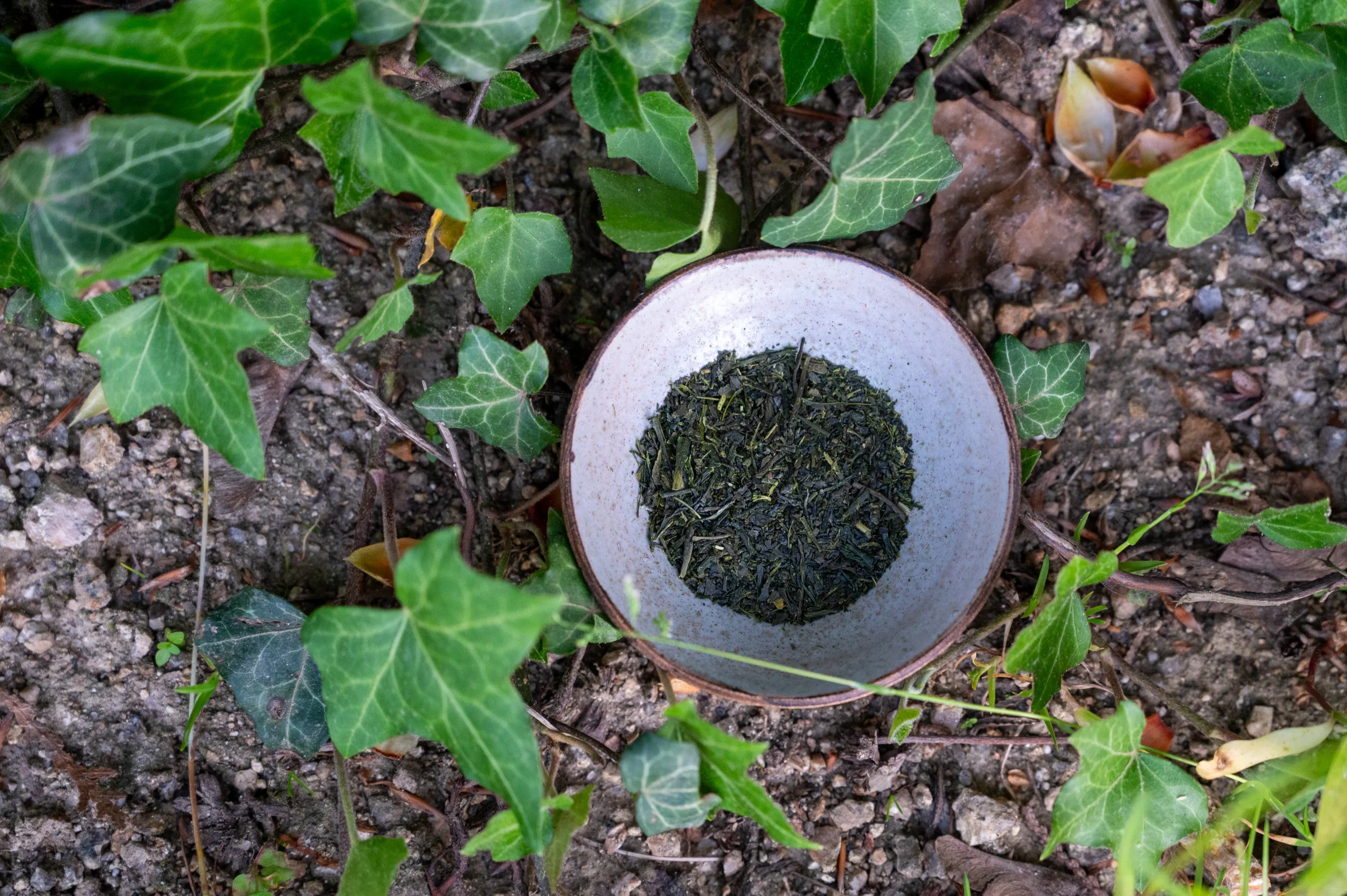 Sencha Fukamushi 50g - výrazné umami ze Shizuoky - Obrázek 4