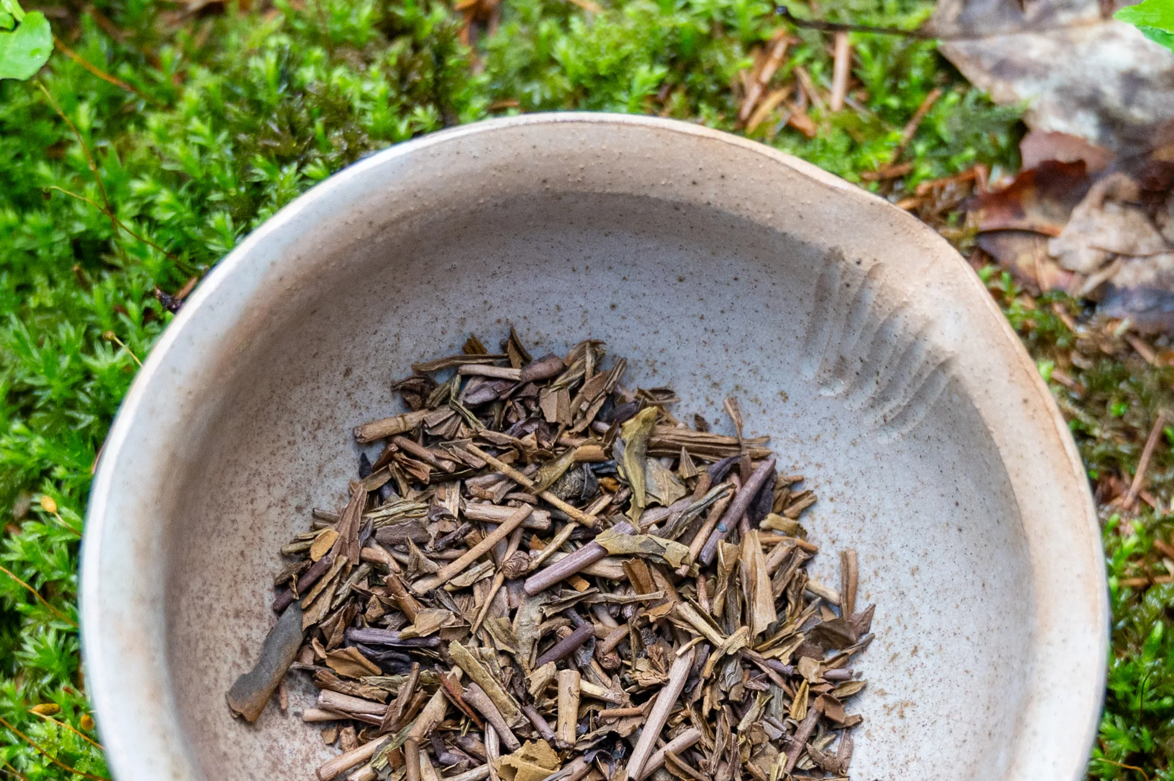 Houjicha Yabukita - jemný pražený čaj ze Shizuoky