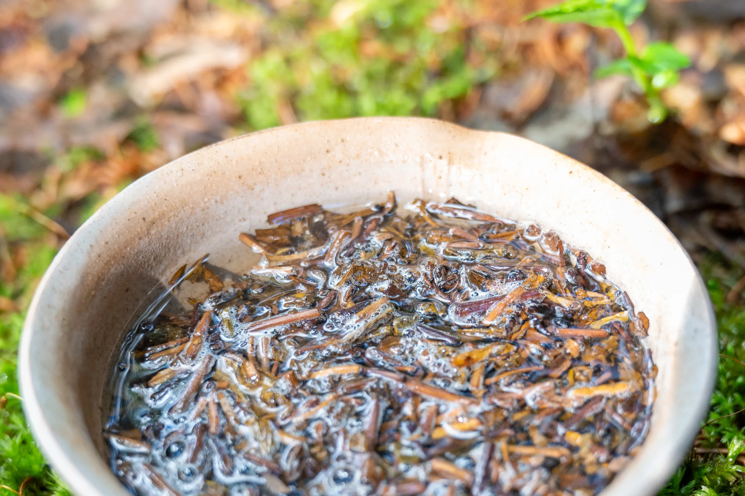 Houjicha Yabukita - jemný pražený čaj ze Shizuoky - Obrázek 3