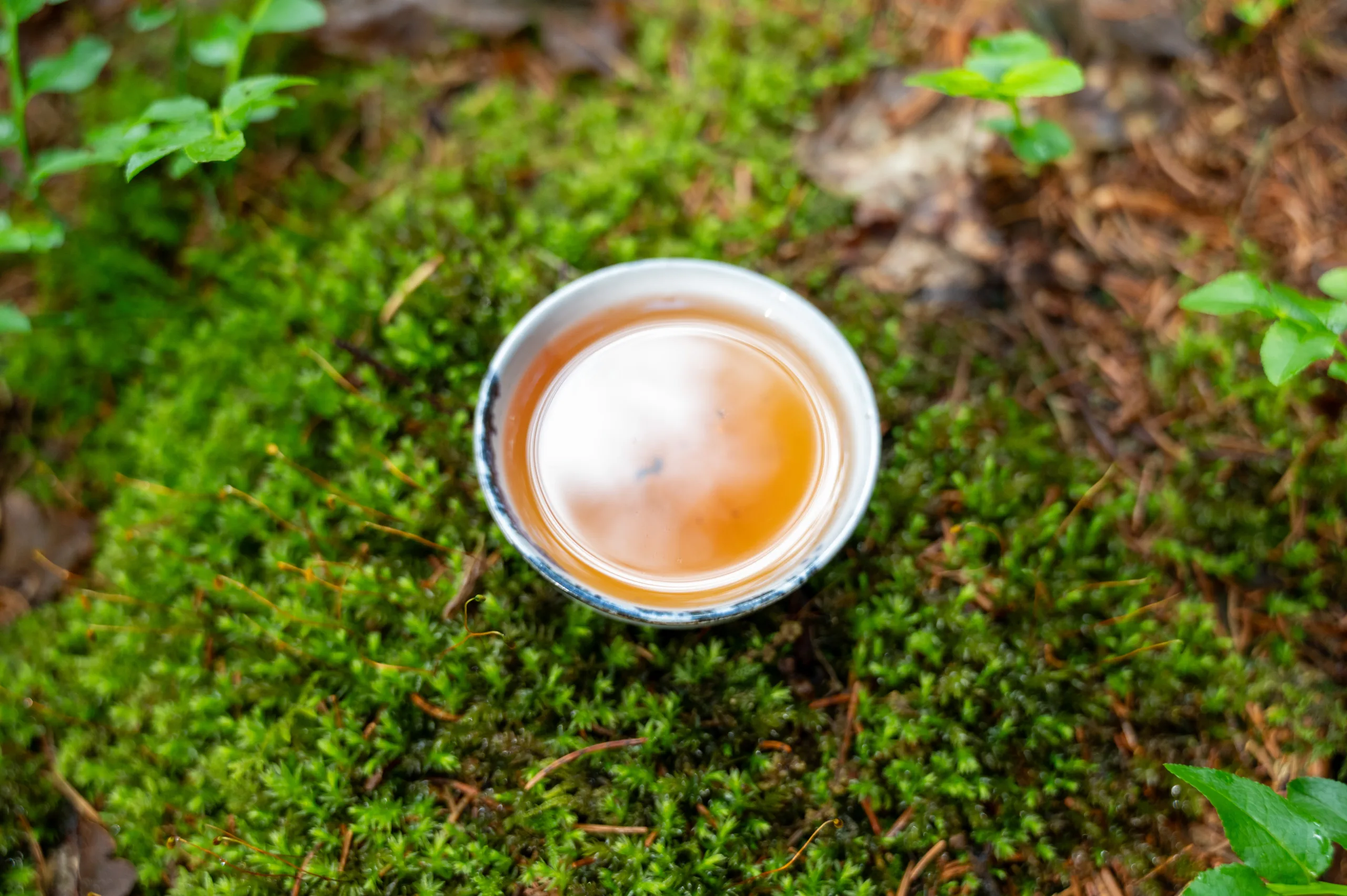 Houjicha Yabukita - jemný pražený čaj ze Shizuoky - Obrázek 4