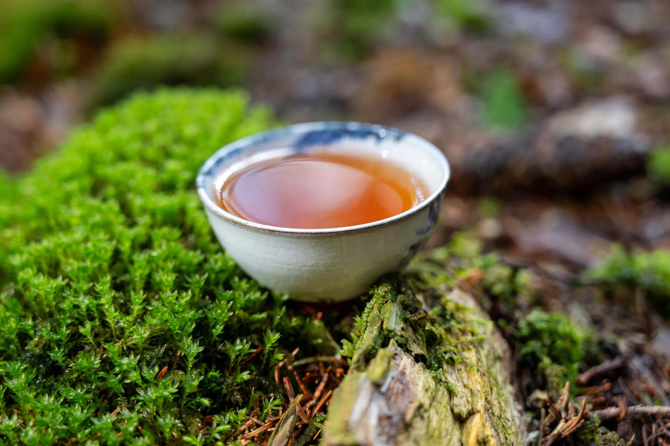 Houjicha Yabukita - jemný pražený čaj ze Shizuoky - Obrázek 9
