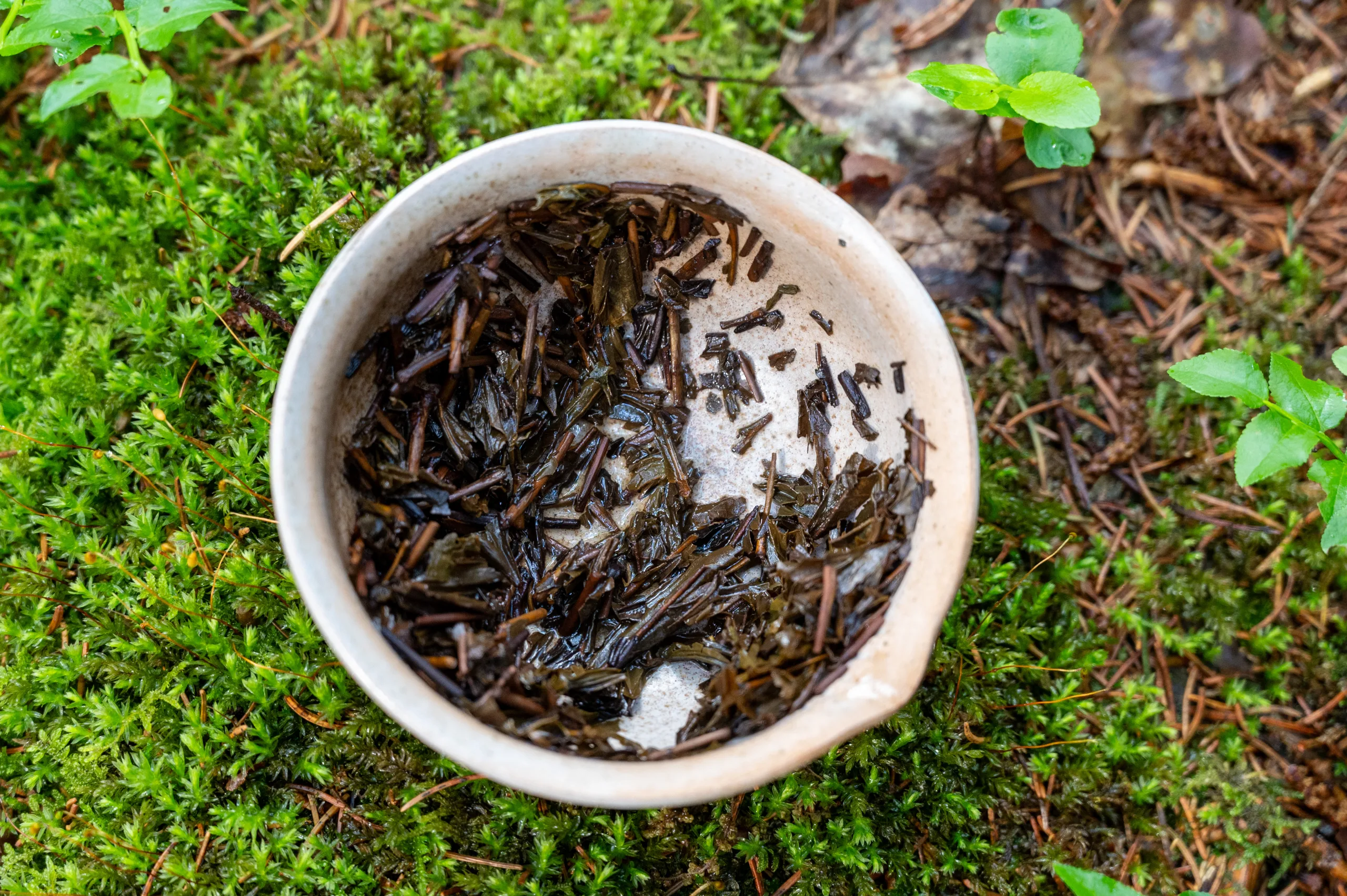 Houjicha Yabukita - jemný pražený čaj ze Shizuoky - Obrázek 11