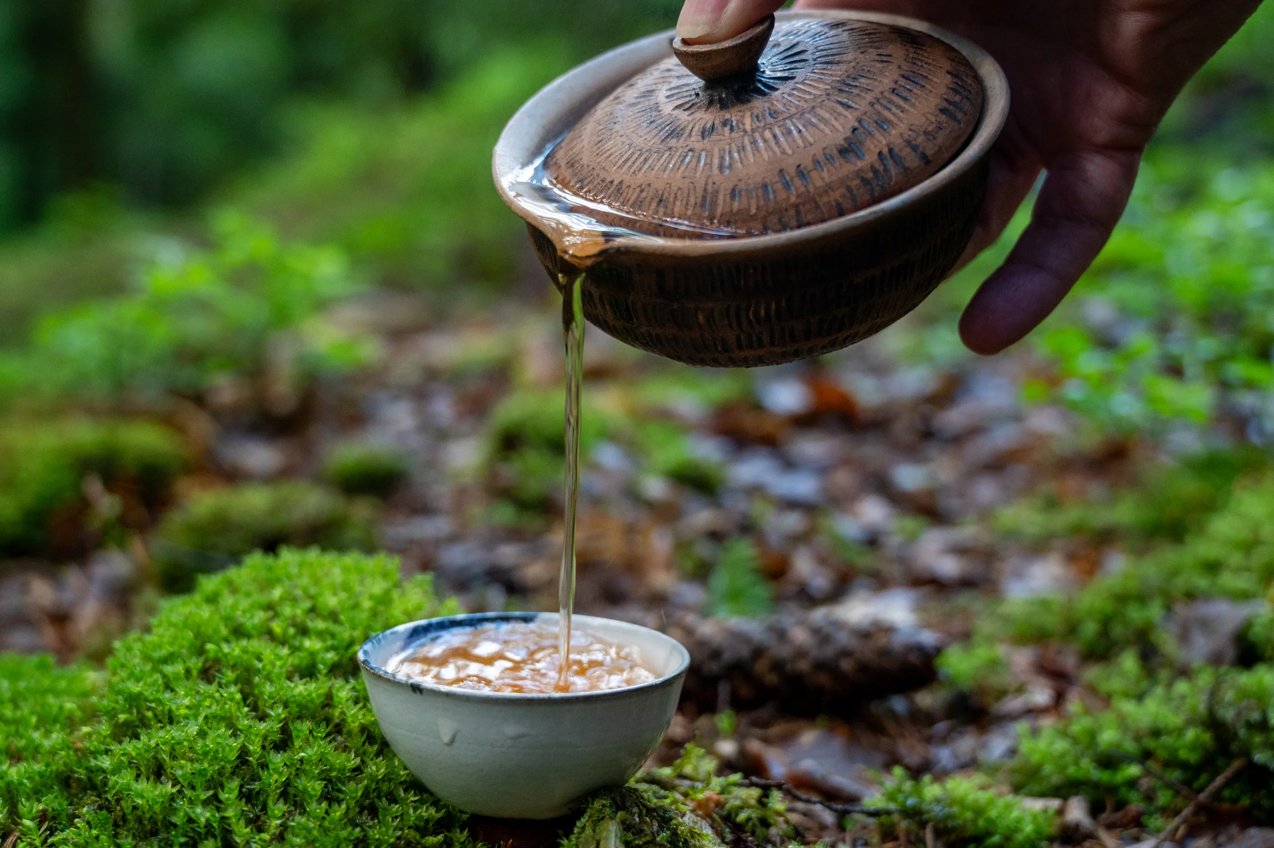 Houjicha Yabukita - jemný pražený čaj ze Shizuoky - Obrázek 7