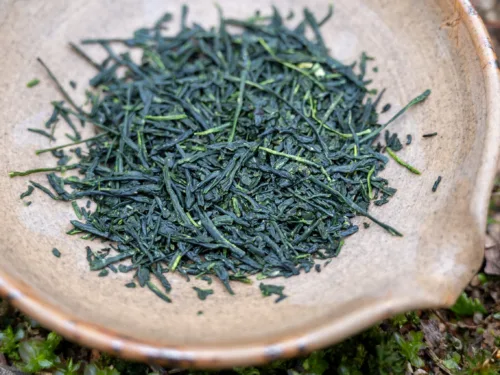 gyo
