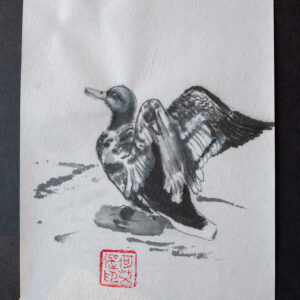 Vzlétající kachna