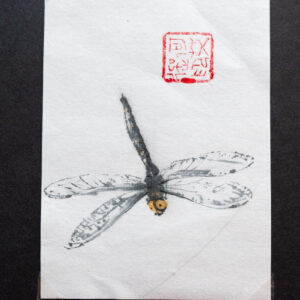 Vážka se zlatýma očima