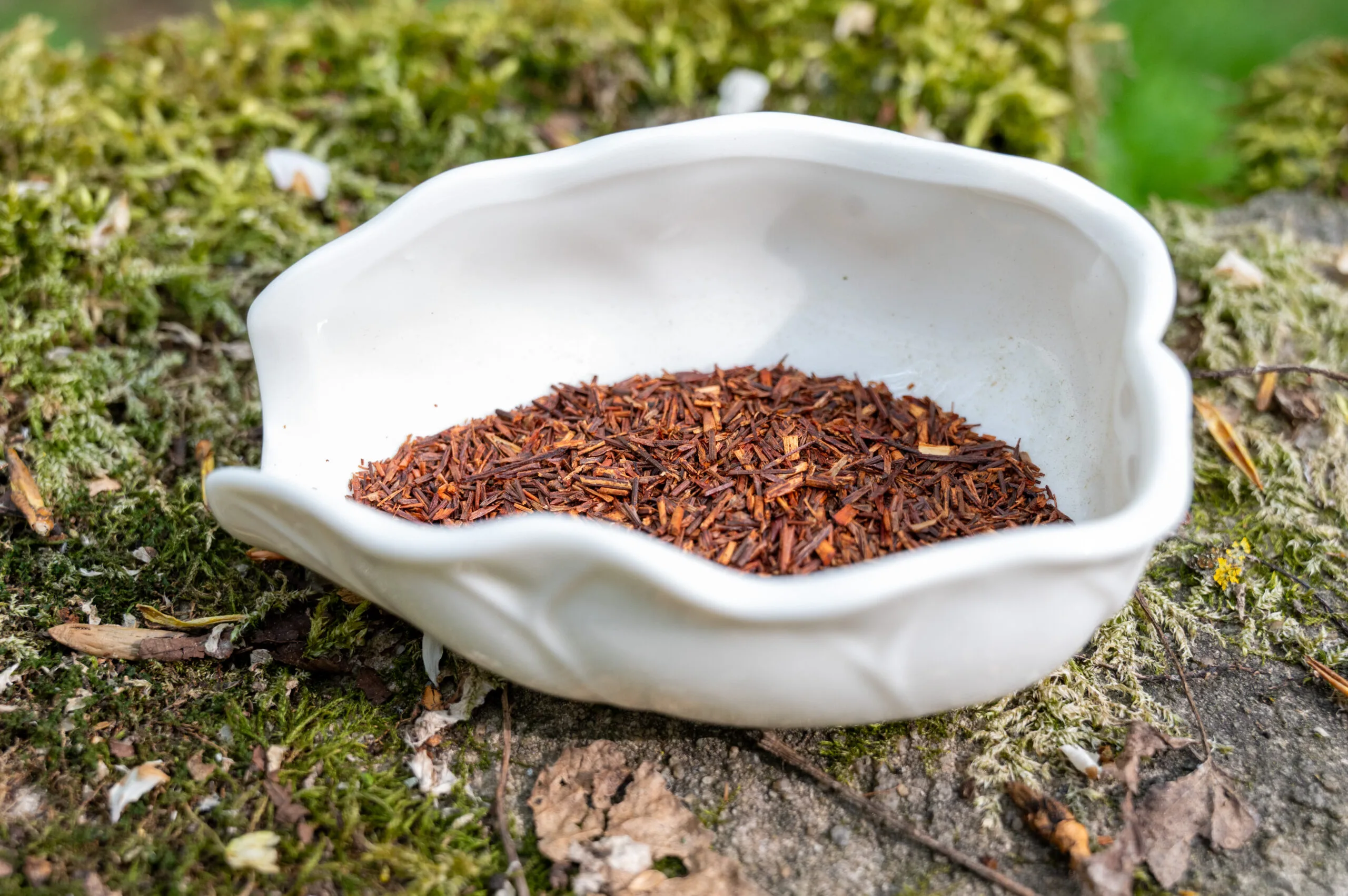 Červený rooibos - přírodní nápoj z hor Jižní Afriky