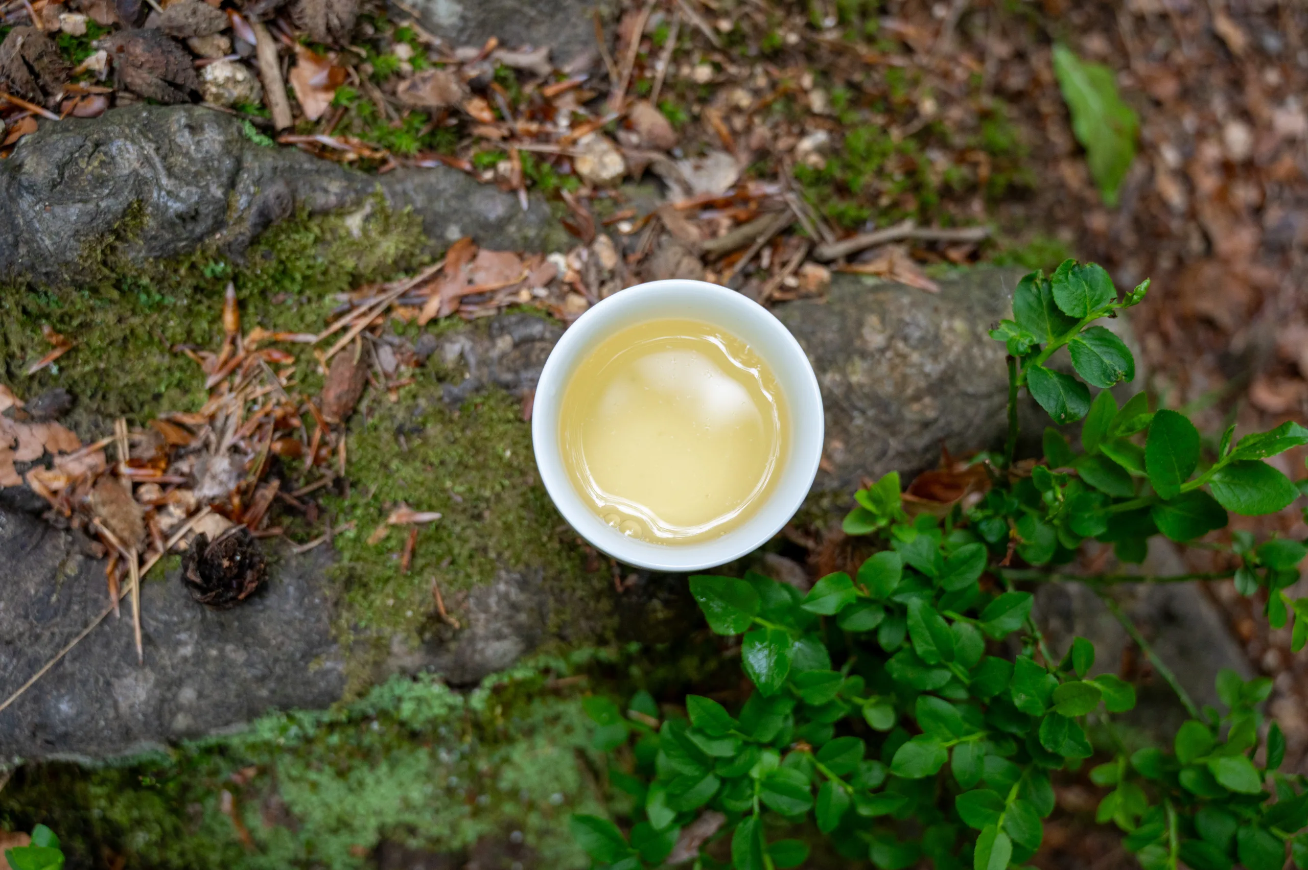 Ling Shan - Sacred Mountain Spring Harvest - Obrázek 4