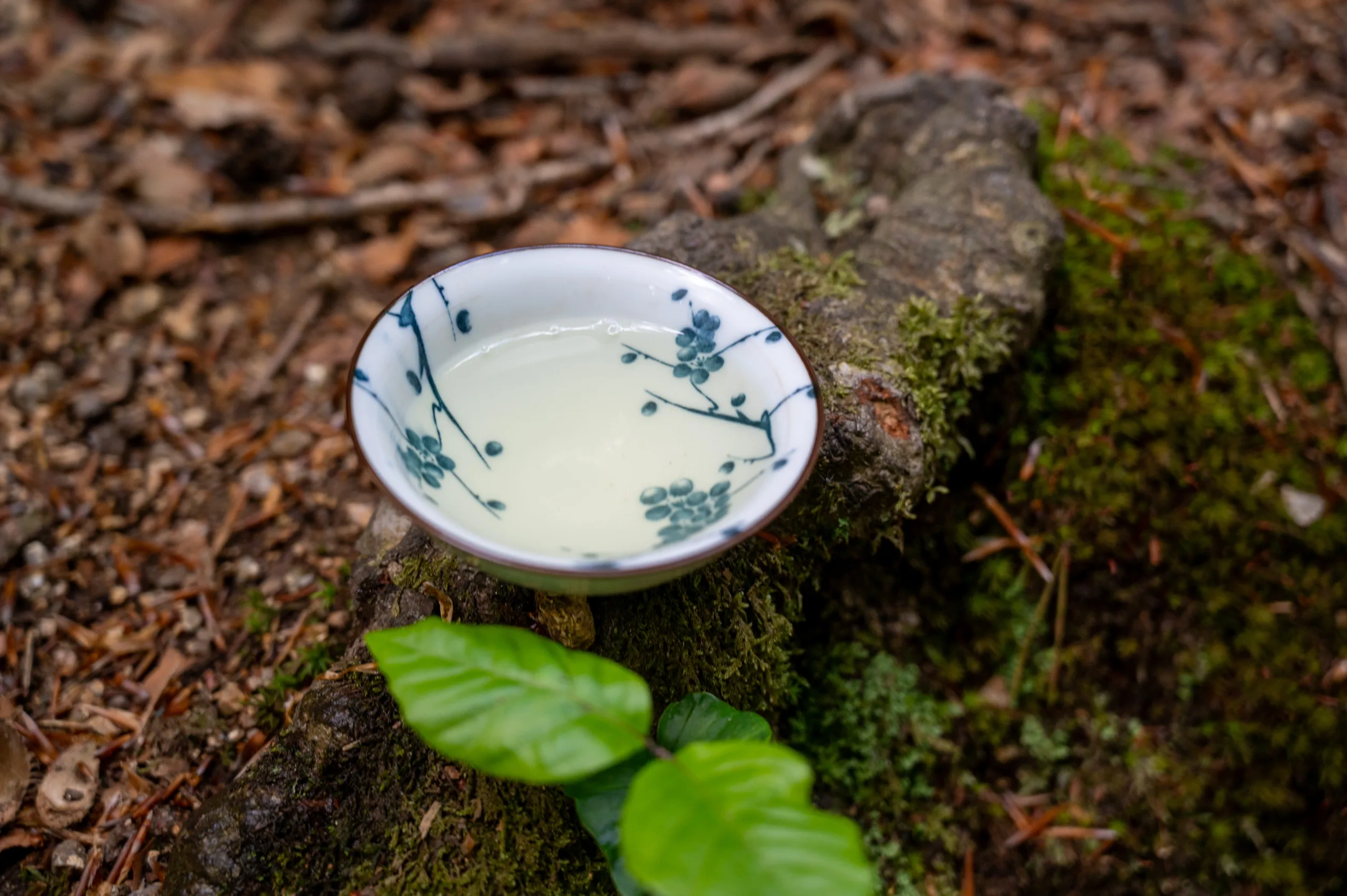 Ling Shan - Sacred Mountain Spring Harvest - Obrázek 2