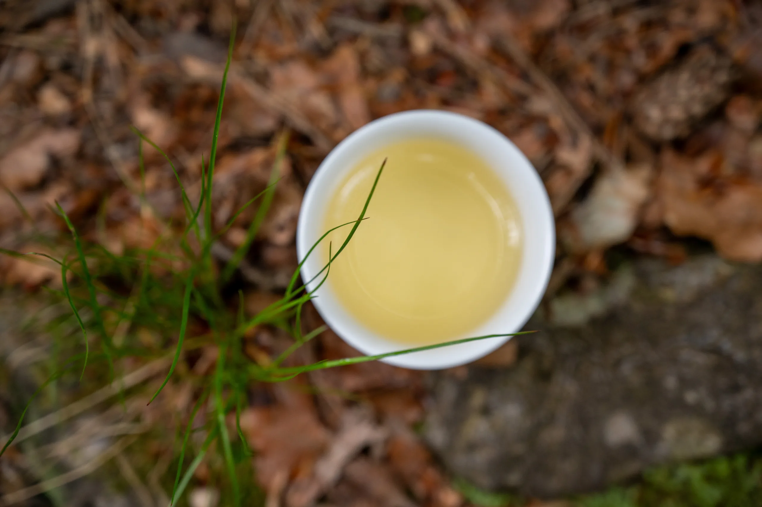 Ling Shan - Sacred Mountain Spring Harvest - Obrázek 5