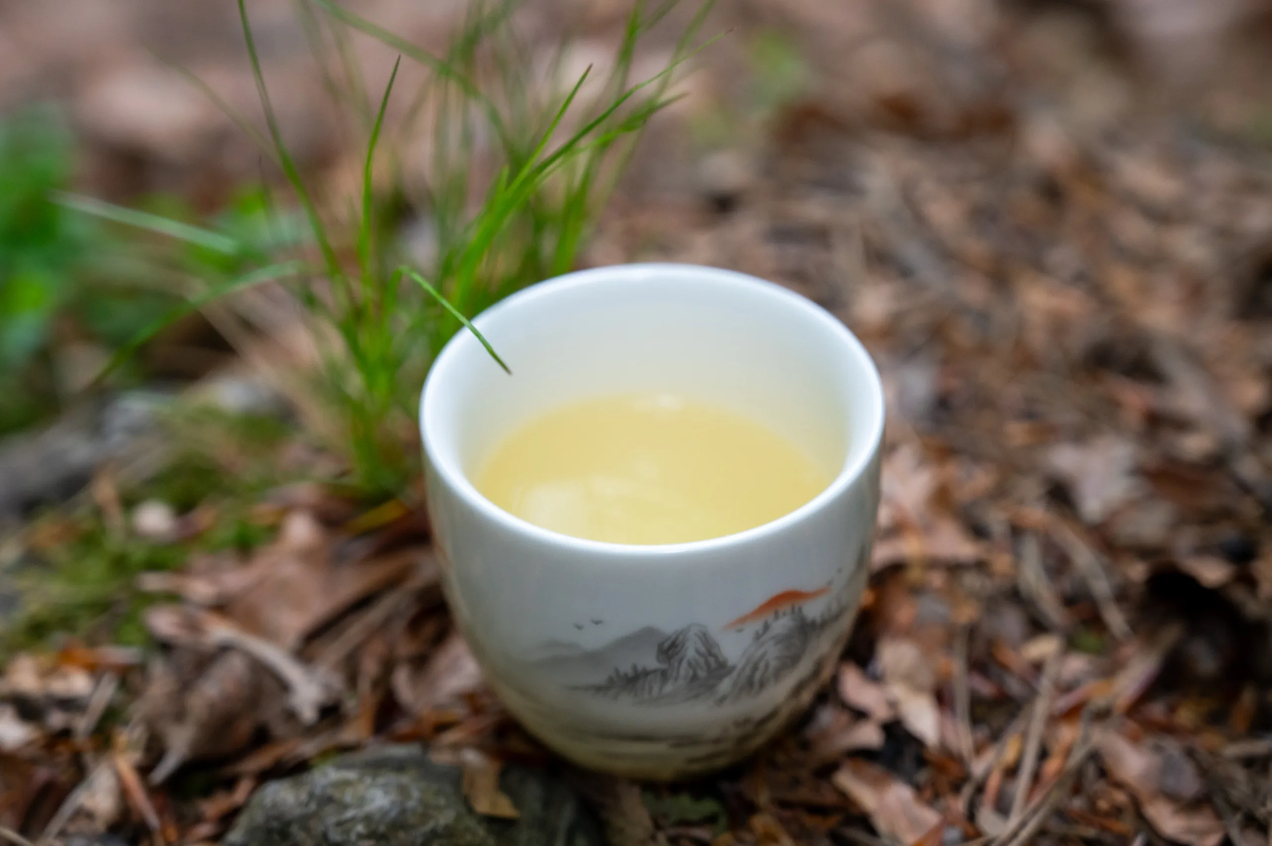 Ling Shan - Sacred Mountain Spring Harvest - Obrázek 3