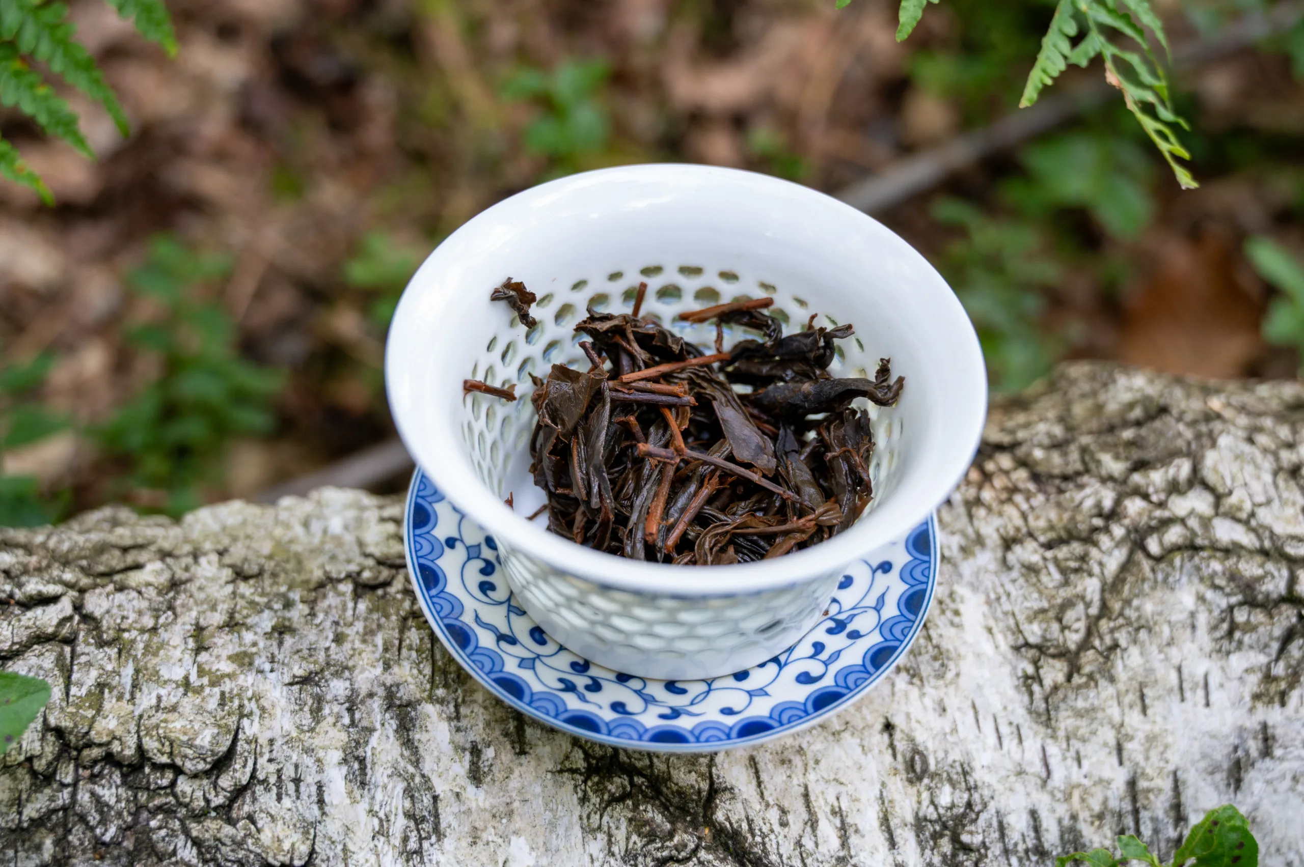 Shui Xian Hong Cha - vznešenost tchajwanských velehor